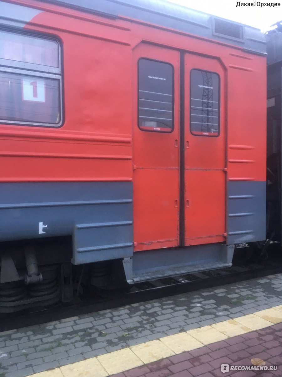 Поезд 013 новокузнецк санкт петербург фото
