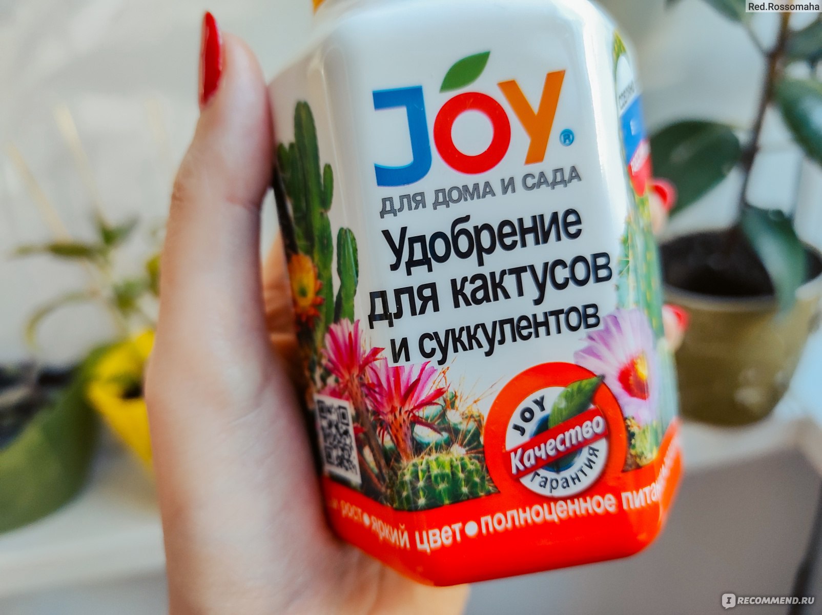 Удобрение JOY Для кактусов и суккулентов - «Эксперимент с удобрением для  кактусов и суккулентов JOY длиной в целый месяц 🍀 Покажу в отзыве фото  отчет о том, какие результаты дало его летнее