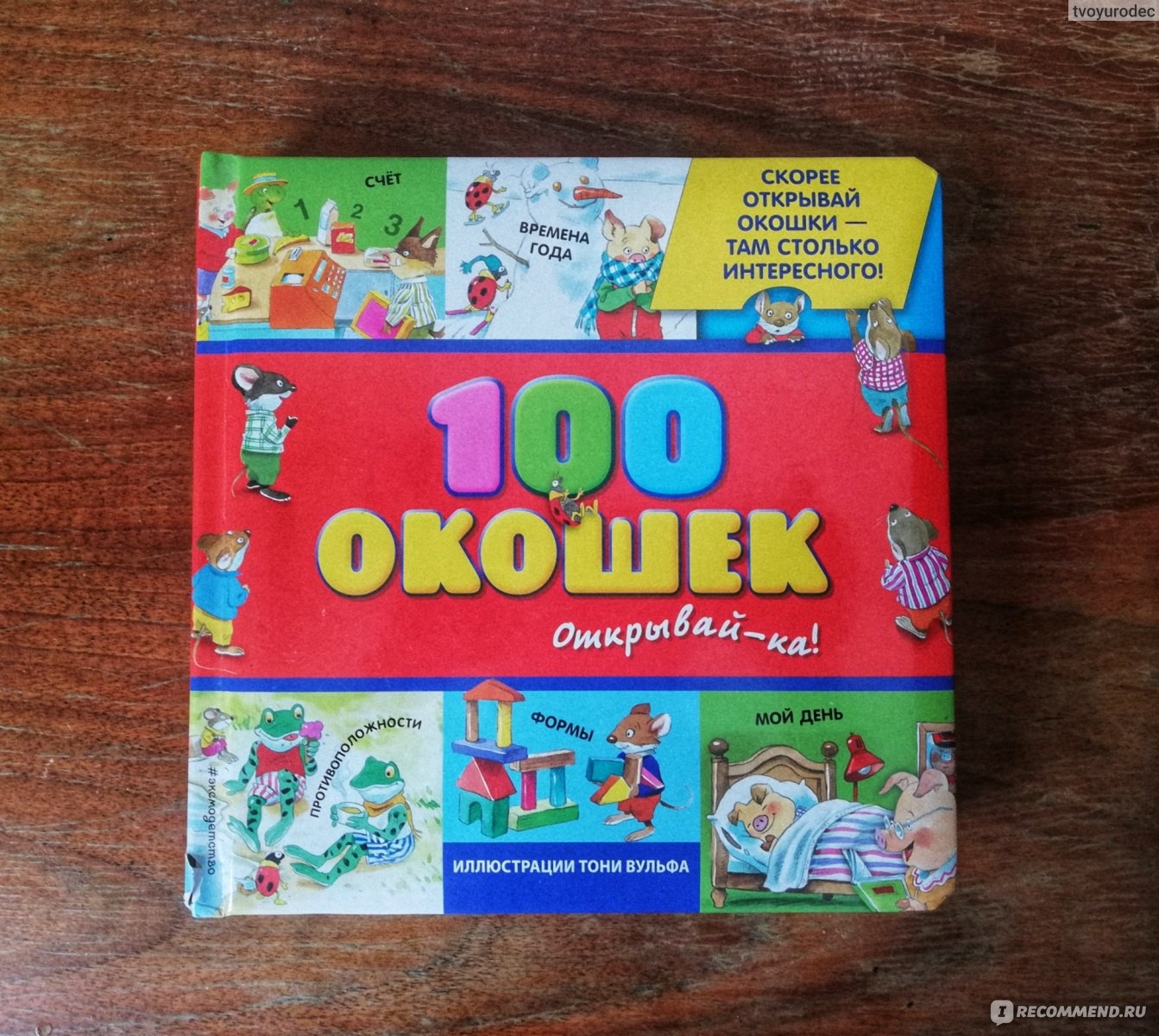 100 окон. Книга Тони Вульфа 100 окошек. 100 Окошек для малышей Тони Вульфа. Иллюстрации Тони Вульфа 100 окошек. 100 Окошек - открывай-ка!.