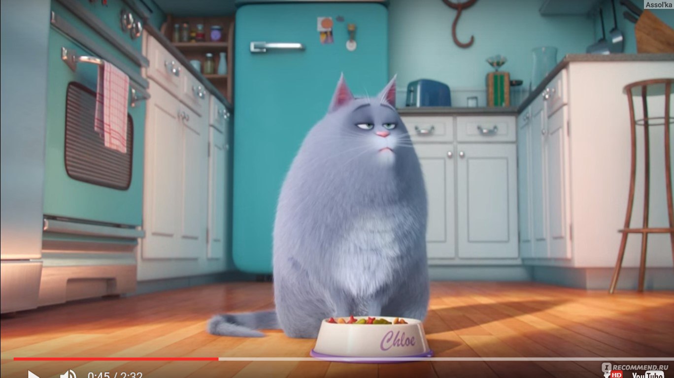 Тайная жизнь домашних животных / The secret life of pets - «Хотите знать,  чем заняты ваши любимцы пока вас нет дома? 