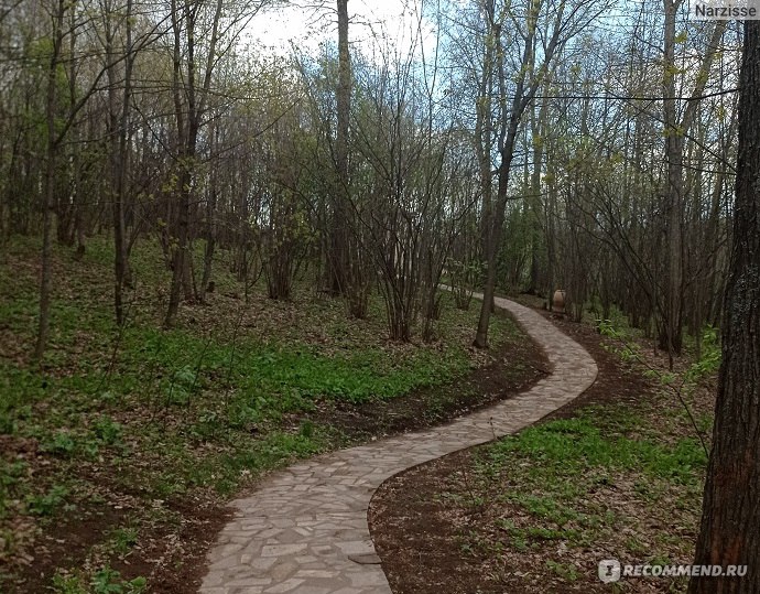 Монастырь Святые кустики отзывы