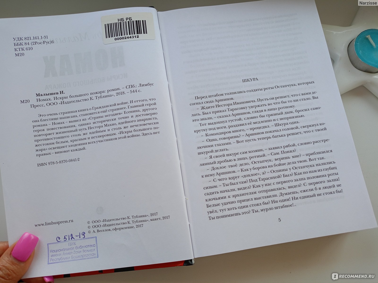 Номах. Игорь Малышев - «Гражданская война страшна - но так ли страшна эта  книга, как говорится в аннотации. Книга 