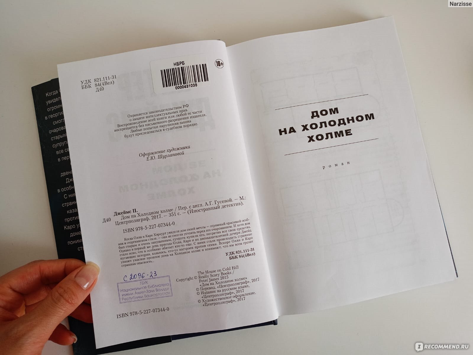 Дом на холодном холме. Питер Джеймс - «Старинный-старинный особняк где-то в  лесной глуши с привидениями - шаблонно, но удалось ли автору сделать  интересную историю?» | отзывы