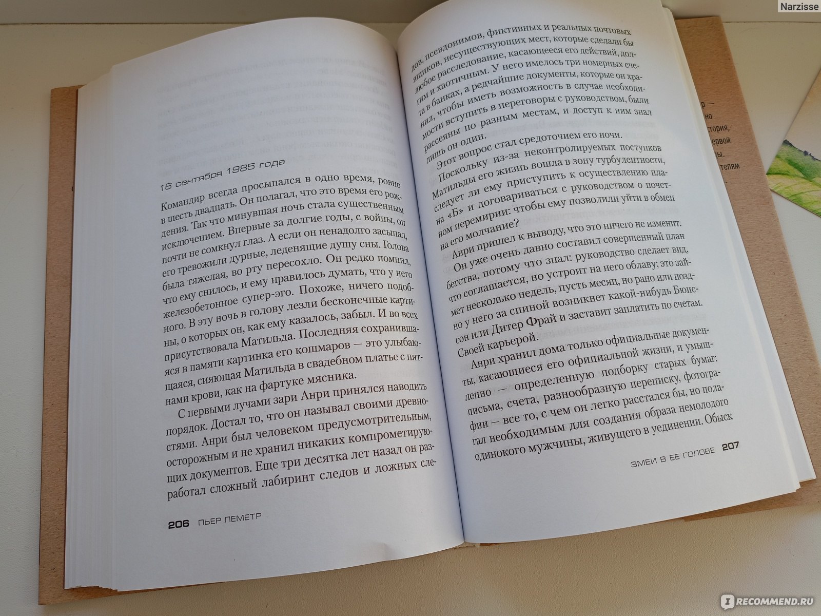 Змеи в ее голове. Пьер Леметр - «Крайне увлекательный детектив со смешной,  но злобной и жестокой бабкой в главной роли. 