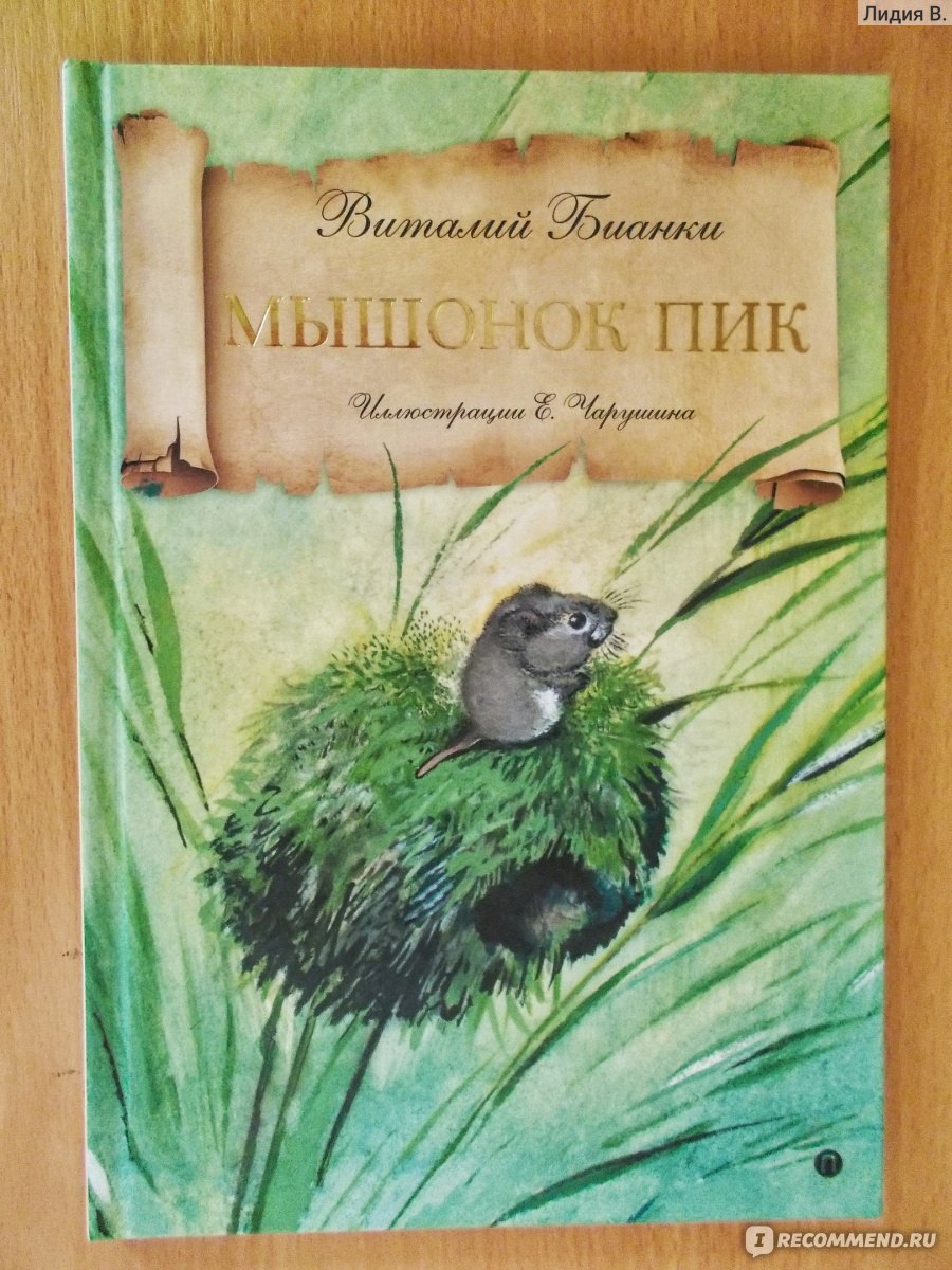 Мышонок Пик. Виталий Бианки - «Эту сказку нужно прочитать всем детям и  взрослым!» | отзывы