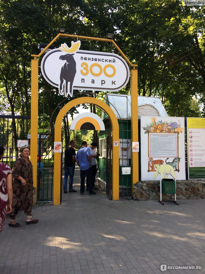 Пензенский зоопарк сайт. Зоопарк г. Пенза. Пензенский зоопарк летом. Зоопарк в городе.