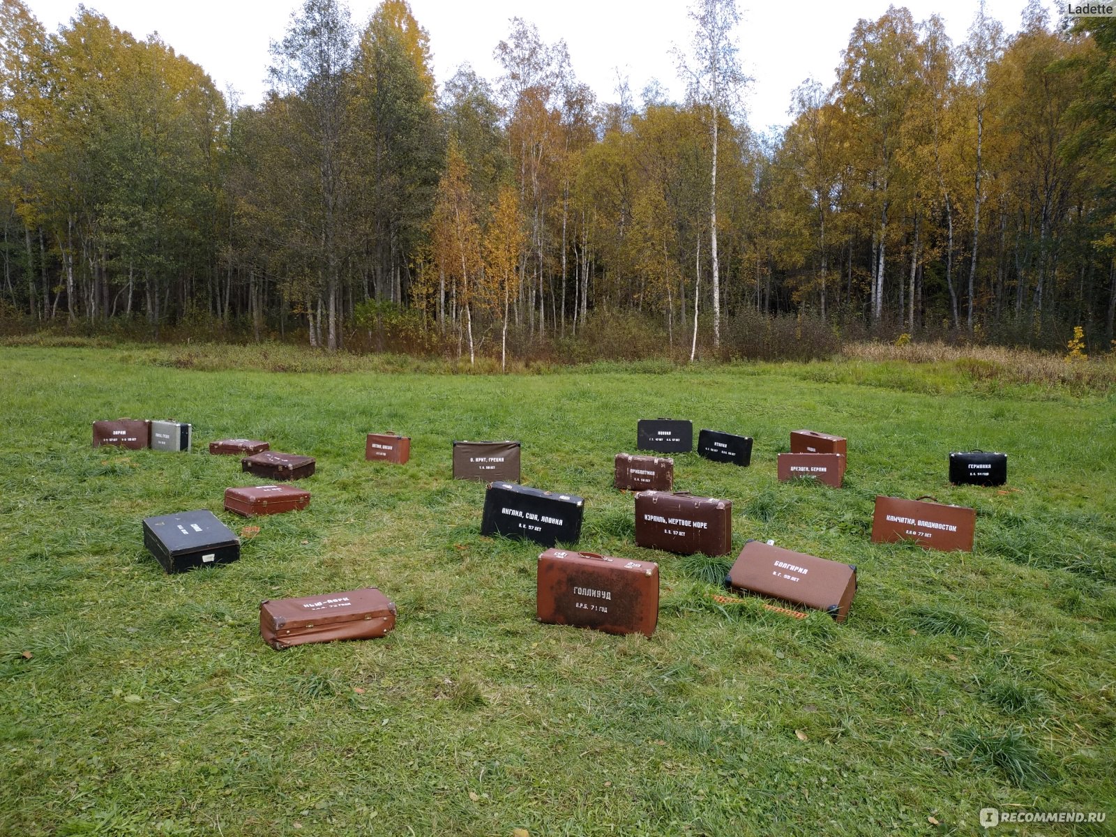 Ленин живет в шалаше. Шалаш Ленина внутри. Музей-шалаш Ленина бюст. Дорога к шалашу Ленина. Шалаш Ленина в разливе пляж.