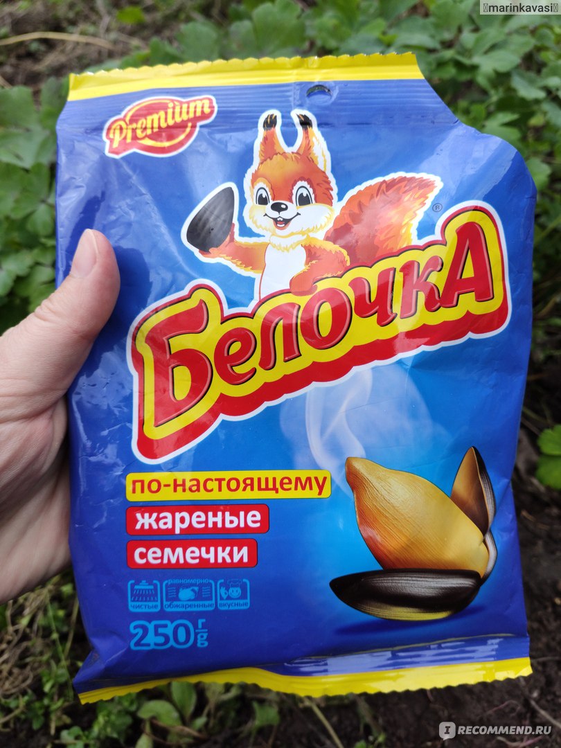 Семечки белочка фото