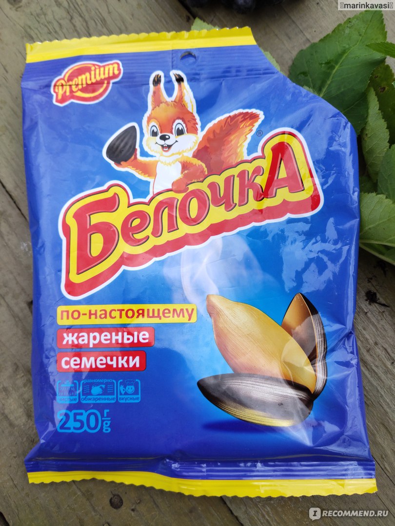 Семечки белочка фото