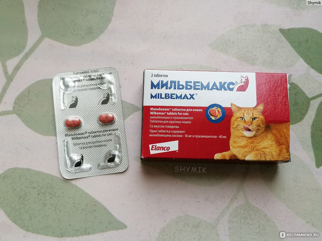 Купить мильбемакс для кошек
