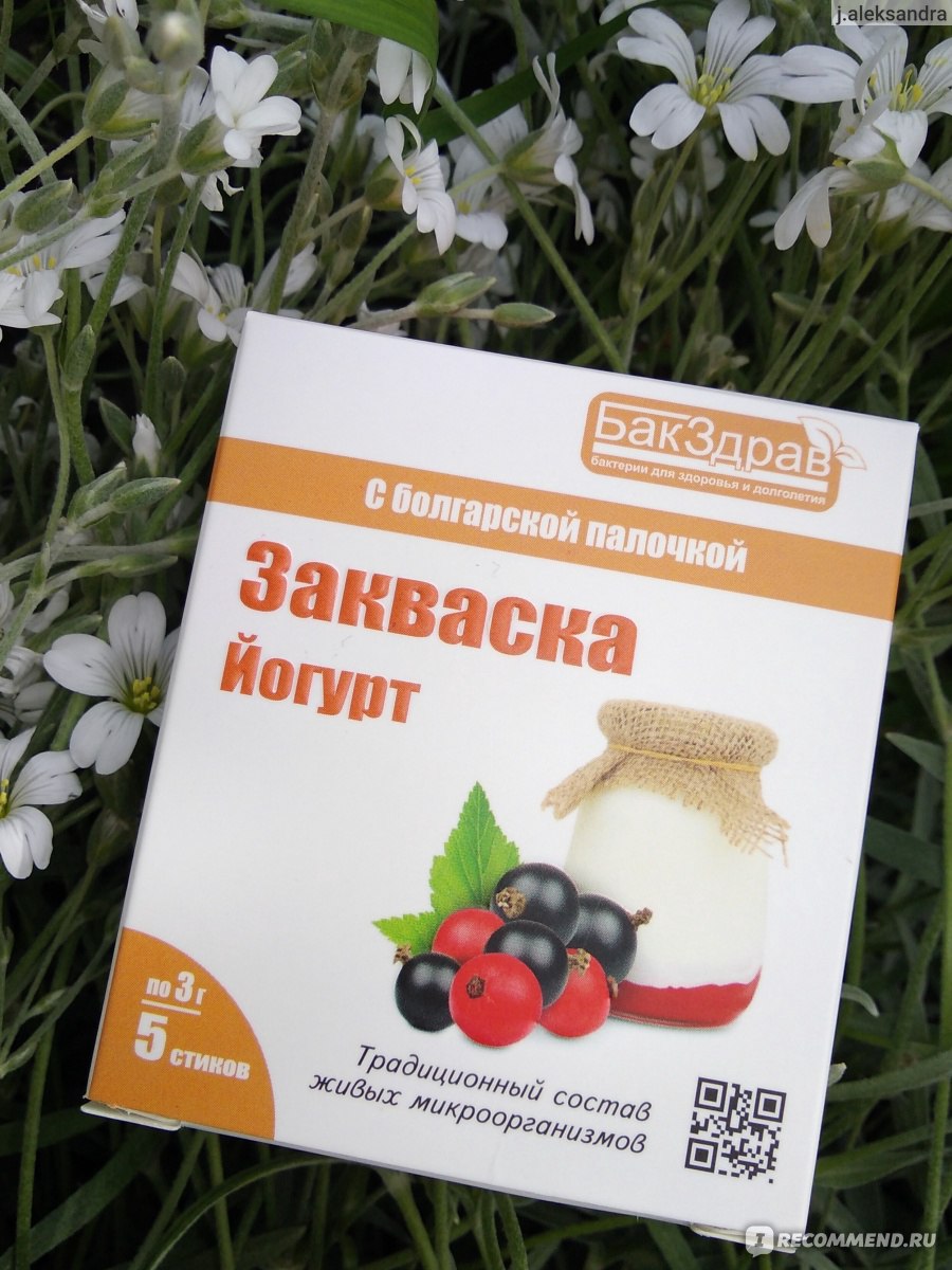 Закваска Бакздрав йогурт - «Отзыв ленивой хозяйки. Как быстро и просто  приготовить домашний йогурт без использования кухонной техники. Нам  потребуется закваска БАКЗДРАВ, молоко и 15 минут свободного времени.» |  отзывы