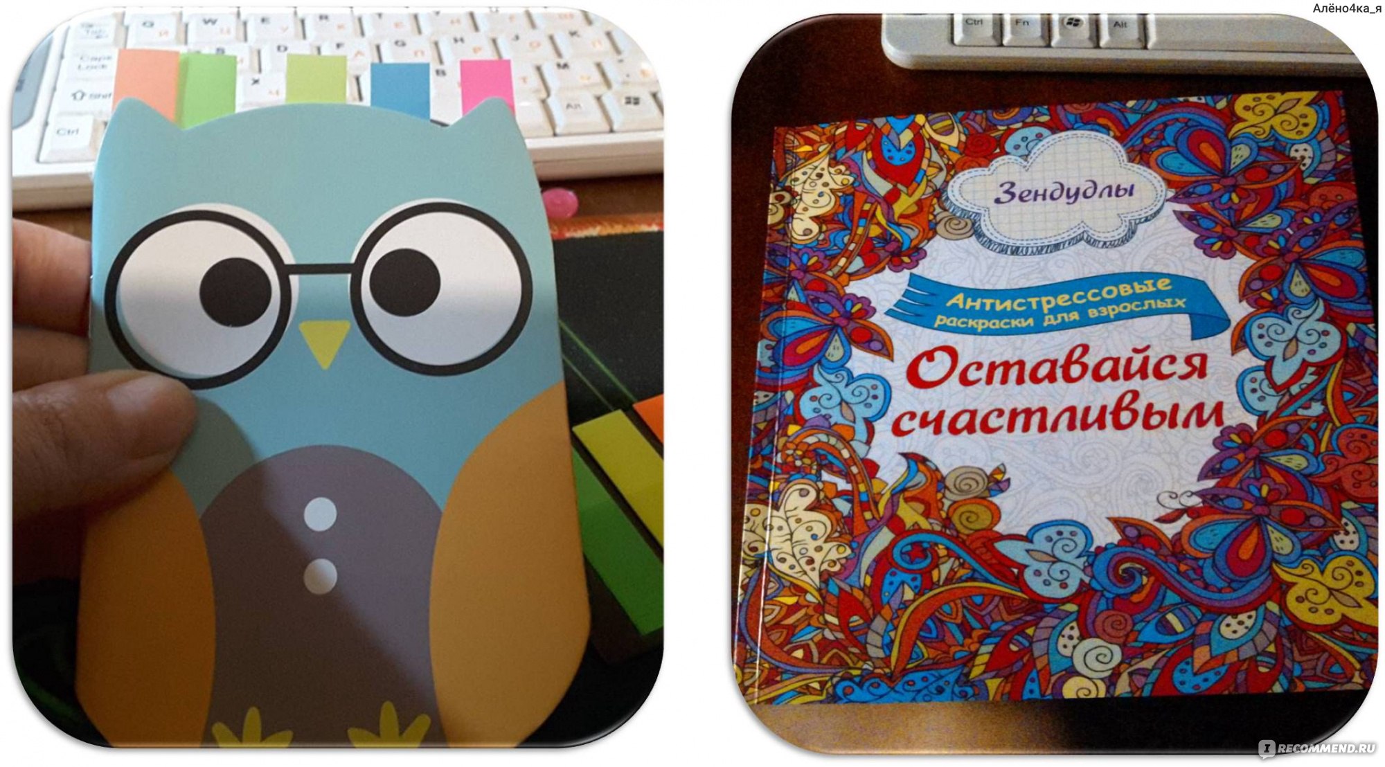 Блокнот Сова Joom Сartoon creative stationery owl Notepad stationery  creative - «Я знаю пароль и хоть я кассир, хоть банкир, хоть даже командир  – я вижу ориентир в своей необъятной сумочке-портфеле» | отзывы