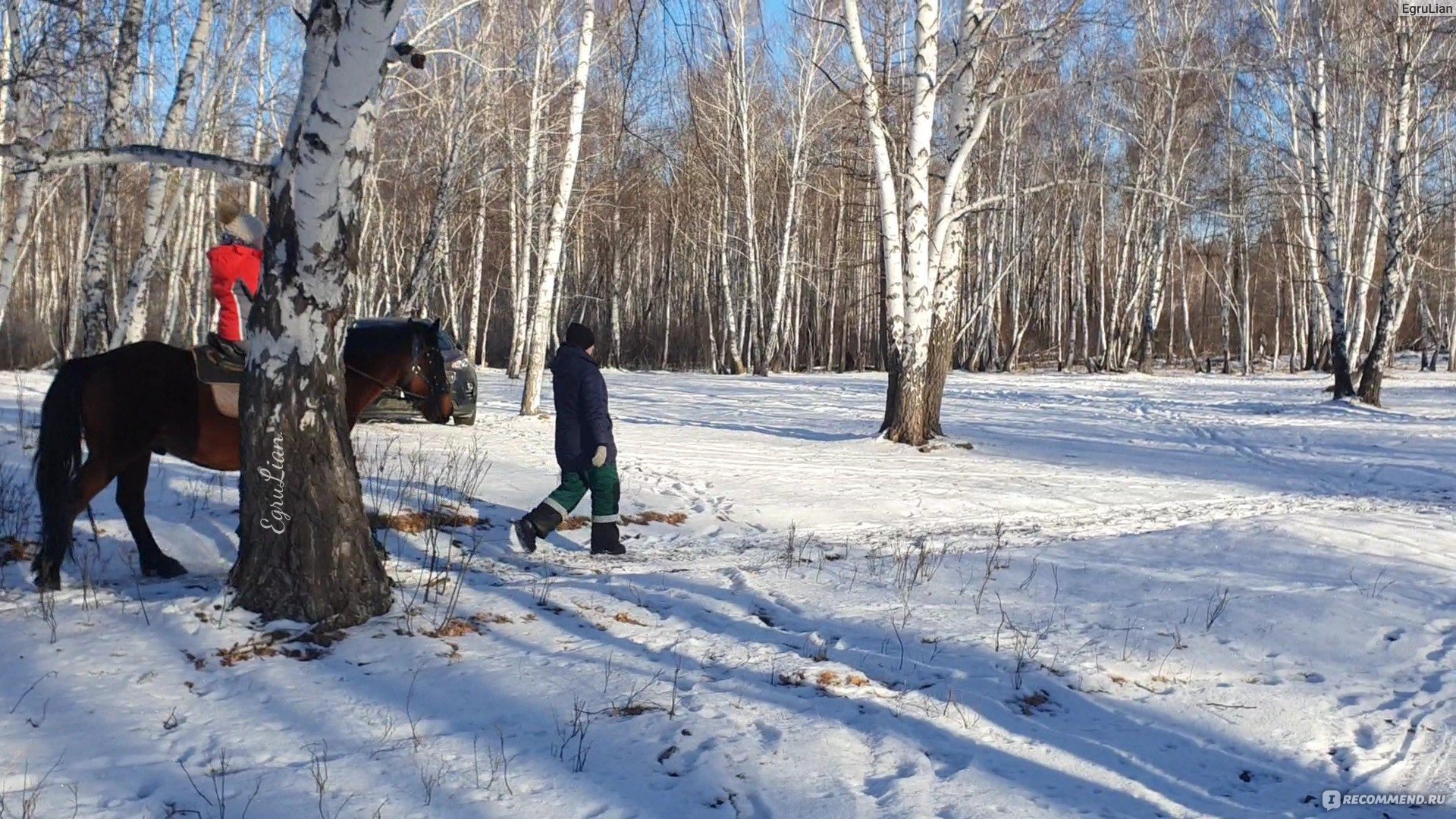 Конные прогулки Башкирия