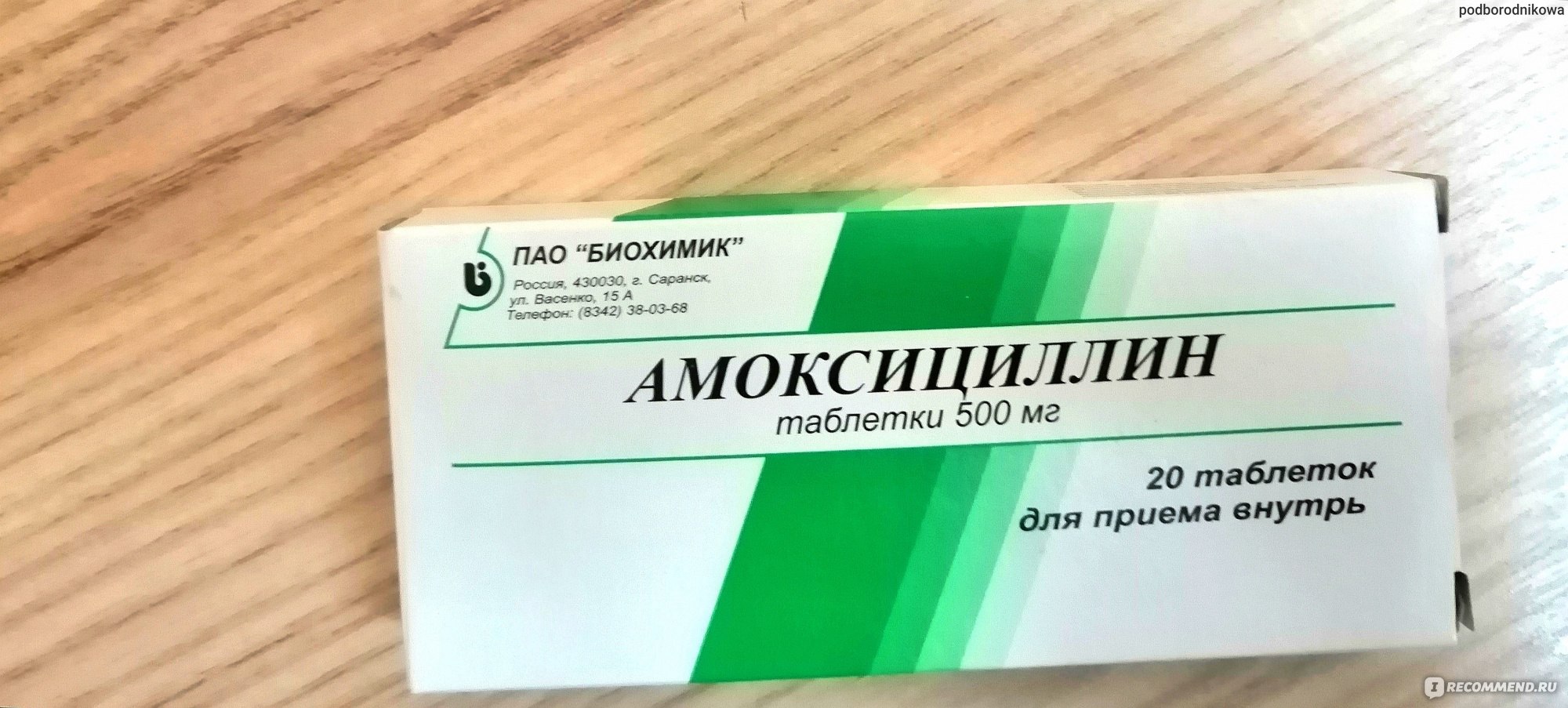 Антибиотик Амоксициллин - «Амоксициллин. Помог не развиться гаймориту. » |  отзывы