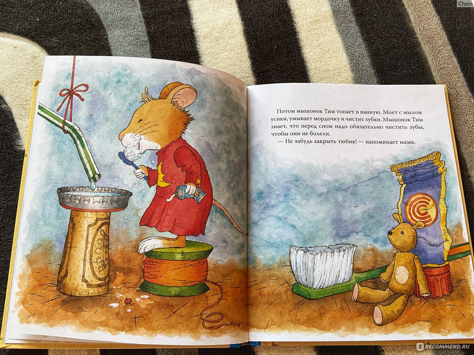 Включи приключения мышонка тима. Сказки про мышонка Тима. Мышонок тим книги. Книга про мышонка. Сказка мышонок тим не хочет спать.