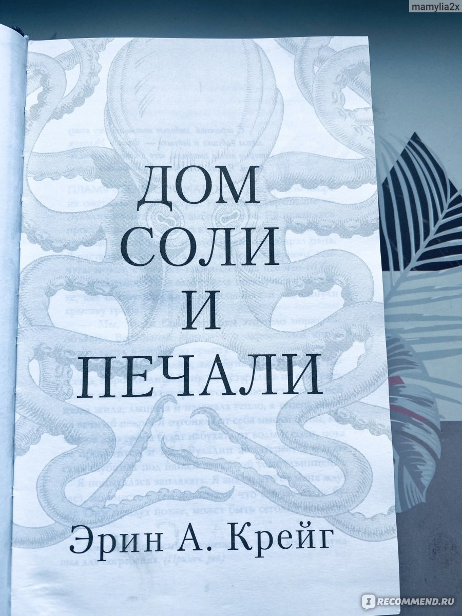 Дом соли и печали. Эрин Крейг - «Книга мне не зашла, первые страниц 270 я  скучала, а концовка начала так стремительно развиваться, что я и  переключиться не успела, от такого переворота с