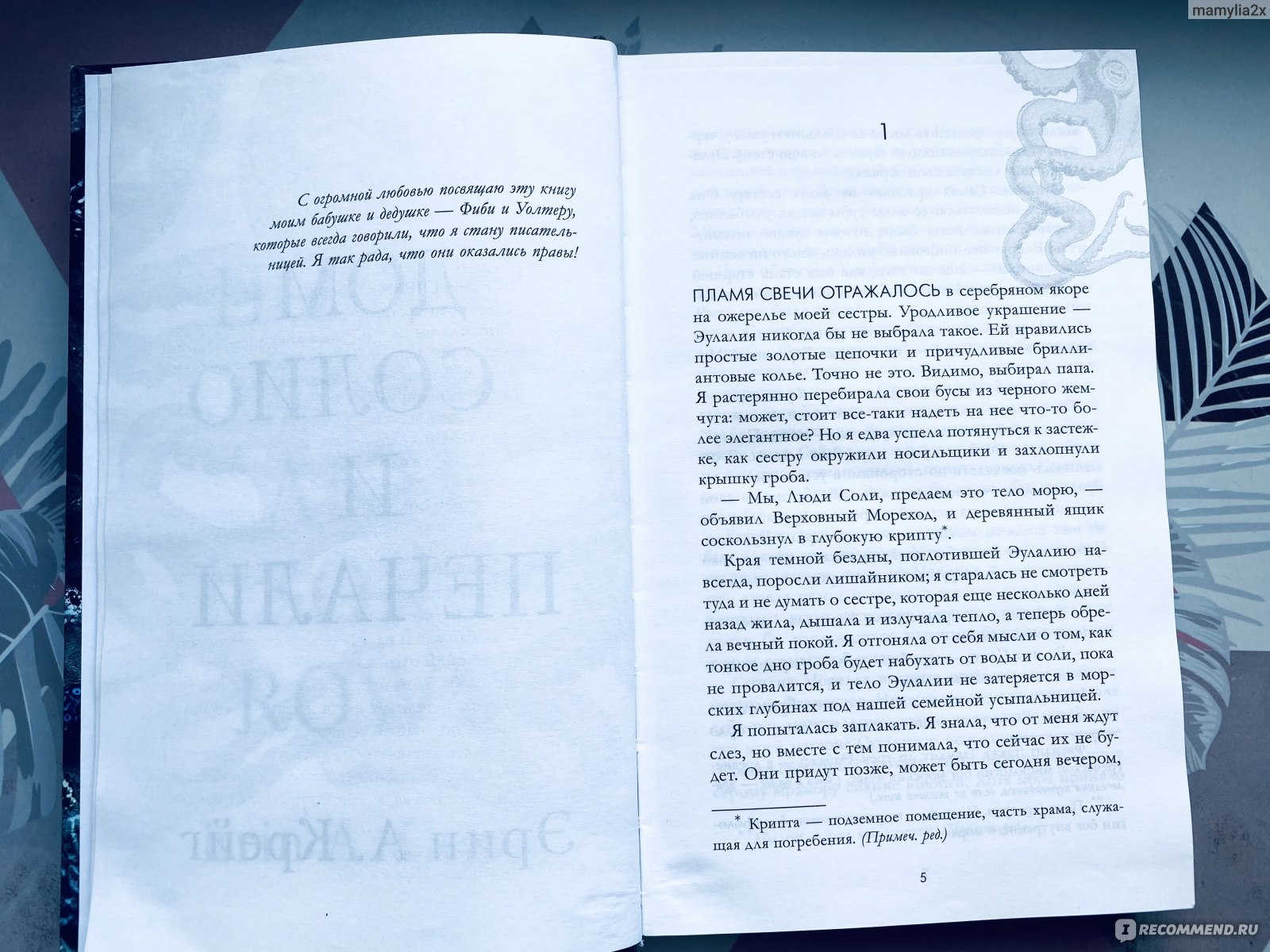 Дом соли и печали. Эрин Крейг - «Книга мне не зашла, первые страниц 270 я  скучала, а концовка начала так стремительно развиваться, что я и  переключиться не успела, от такого переворота с