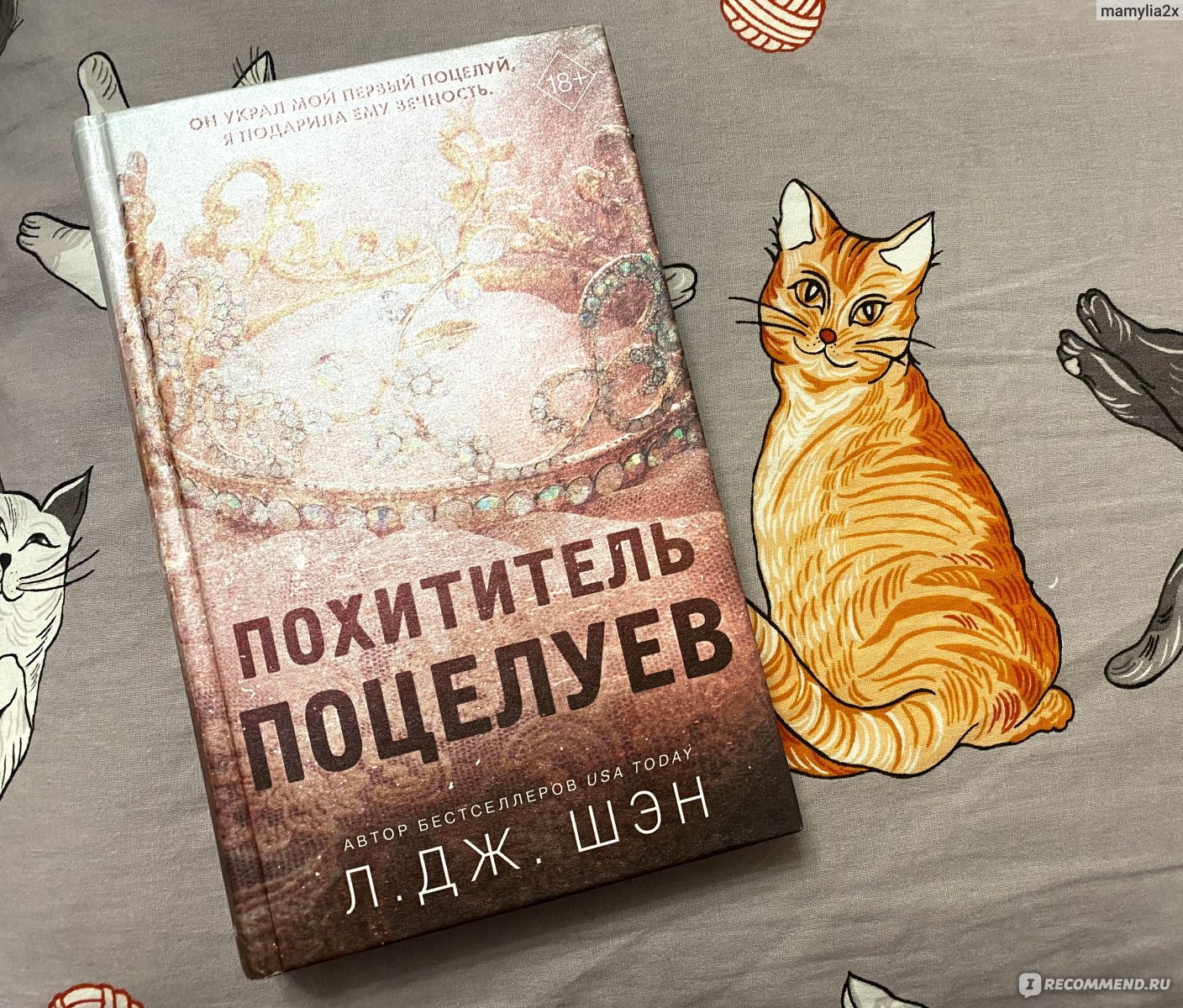 Похититель поцелуев. Л Дж Шэн - «Не зашла книга, слишком много «слишком»,  как фильм с маленьким бюджетом и плохой игрой актеров…. » | отзывы