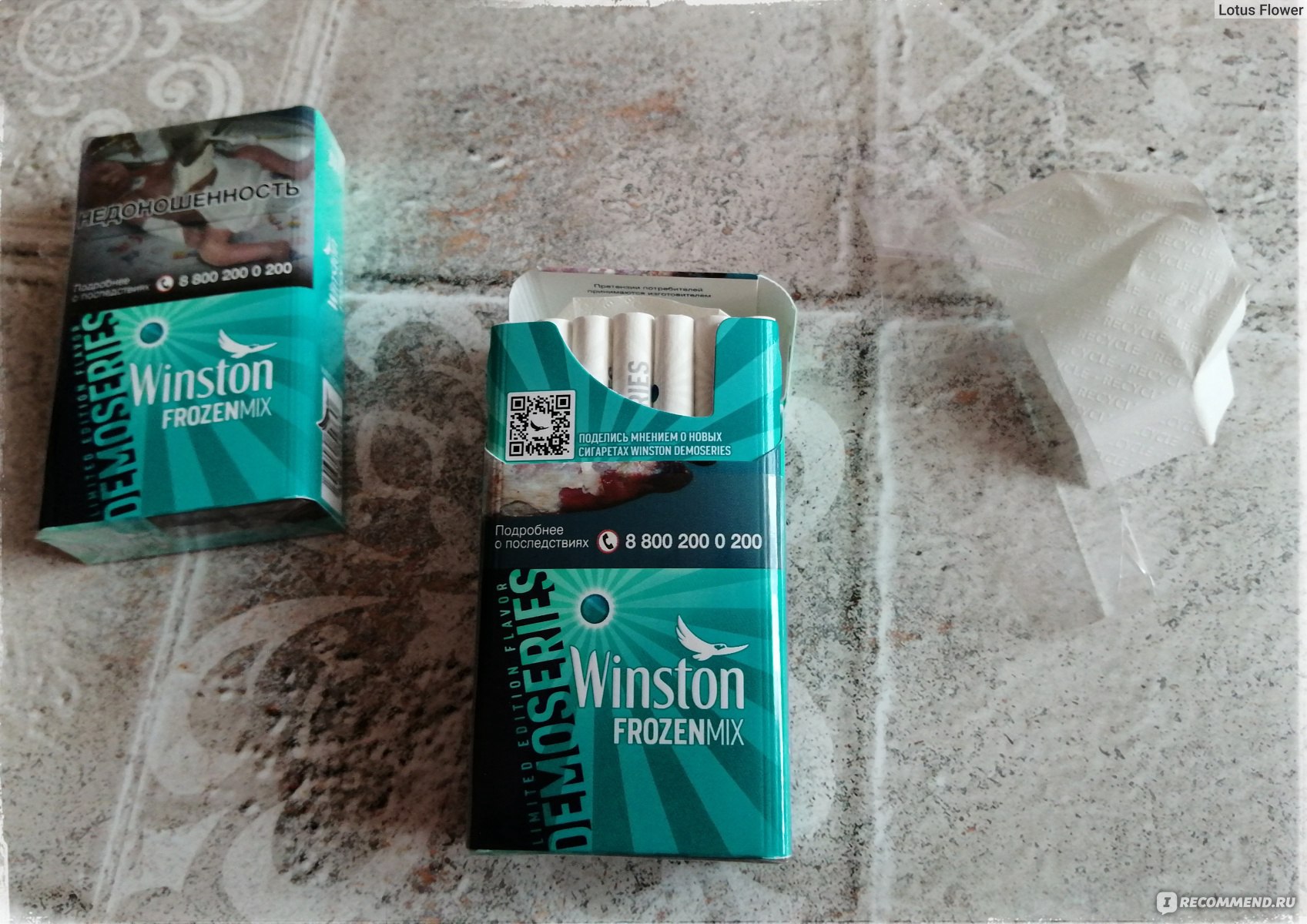 Винстон с ментолом компакт. 'Winston XS Compact Capsule. Сигареты Winston Frozen Mix. Сигареты Winston DEMOSERIES Frozen Mix. Сигареты Винстон с ментолом тонкие.