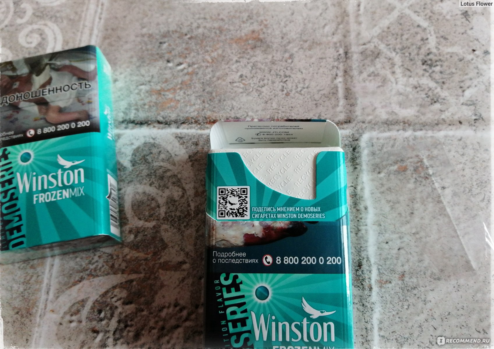 Винстон с ментолом компакт. Winston Impulse с кнопкой мята. Сигареты Винстон с кнопкой мята. Сигареты Винстон с кнопкой ментол. Winston XS Compact Menthol.