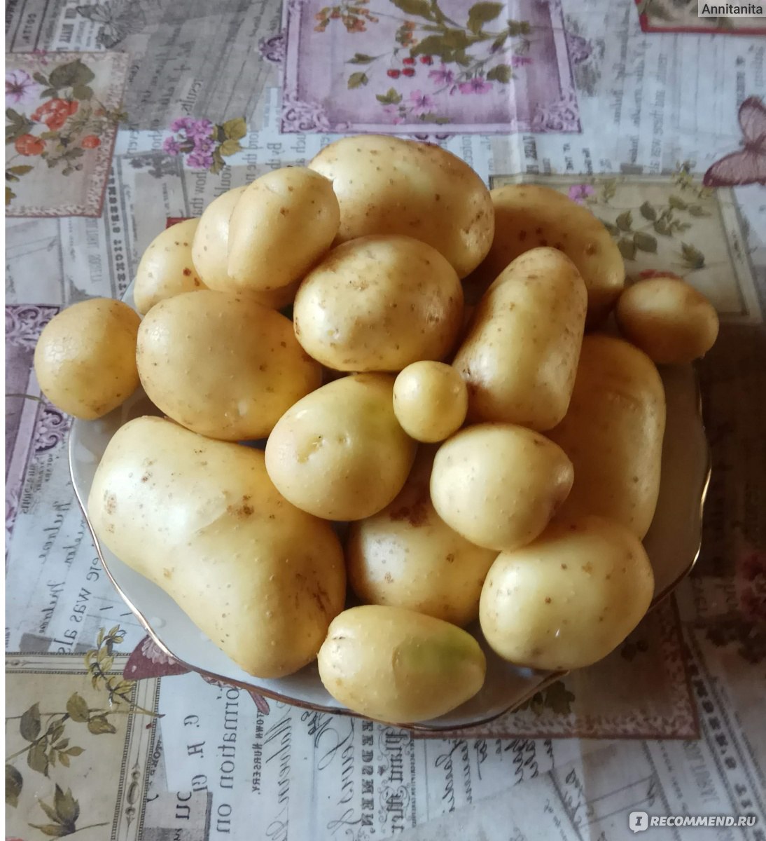 Как приготовить картофельные ньокки с крабами