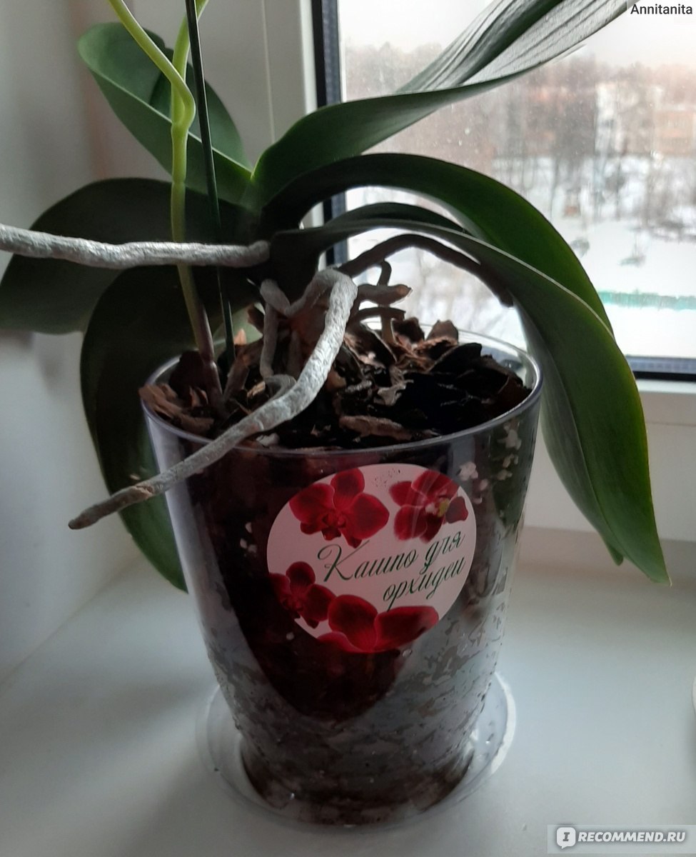 Кашпо для орхидей купить Киев оптом и в розницу - интернет магазин ELSA