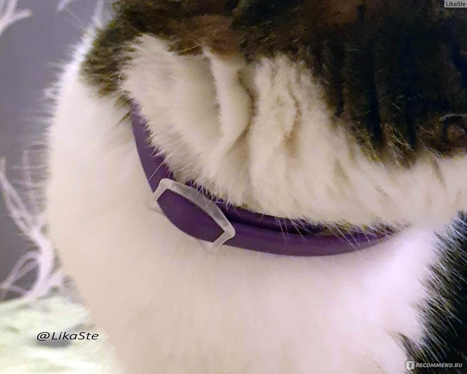 SENTRY Calming Collar for cats . Застёжка.