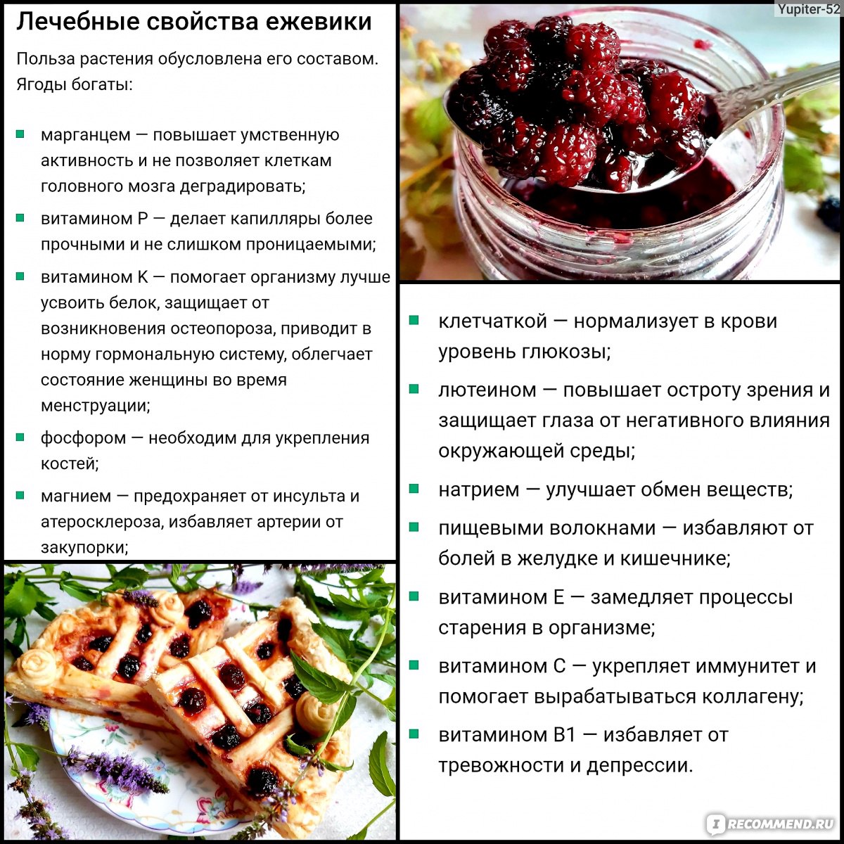 Ежевика (Rubus fruticous L.) - «Росяника, куманика - их попробуй, отличи -  ка! Пока 