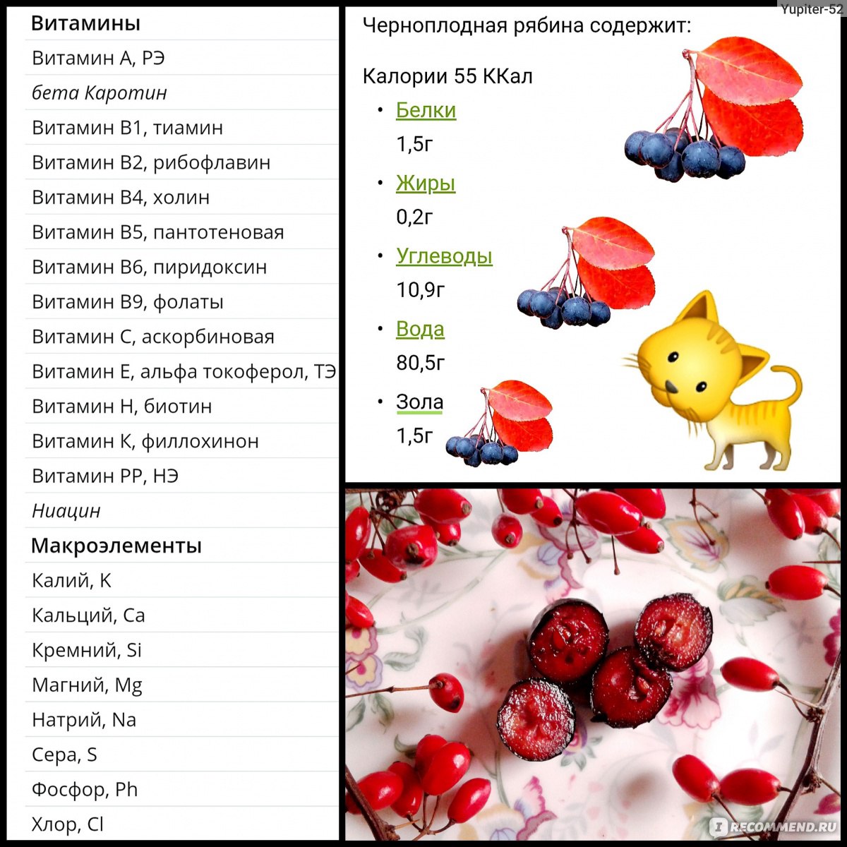 Арония - черноплодная рябина - «В детстве от нее плевалась, а сейчас  обожаю! Горстями в рот провожаю! Варенье из 