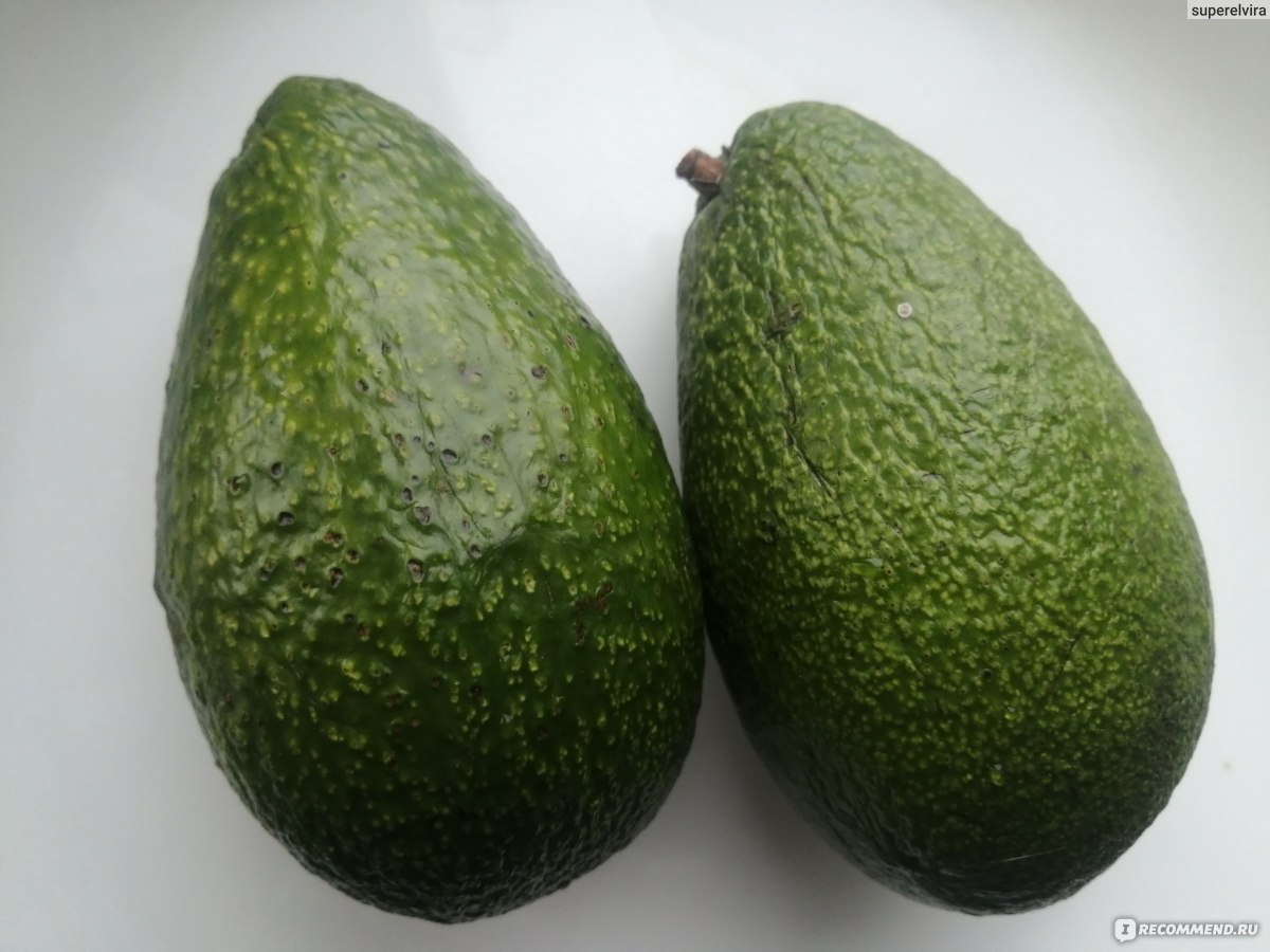 Авокадо зелёный, ровный