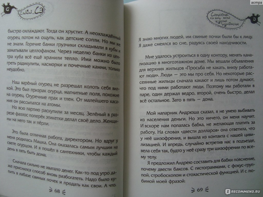 Сантехник, его кот, жена и другие подробности, слава сэ - «читать от корки  до корки - ВЕЩЬ!!!» | отзывы