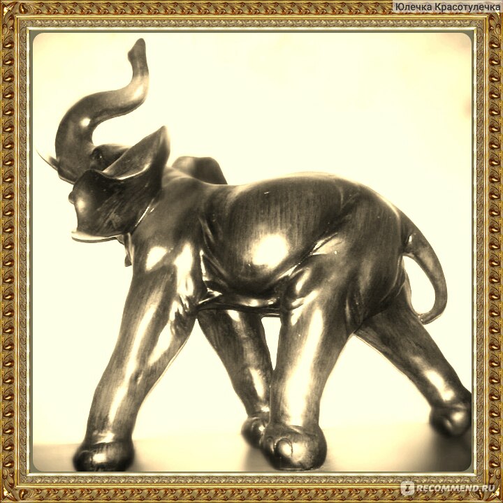 Слон – талисман, символизирующий удачу и процветание