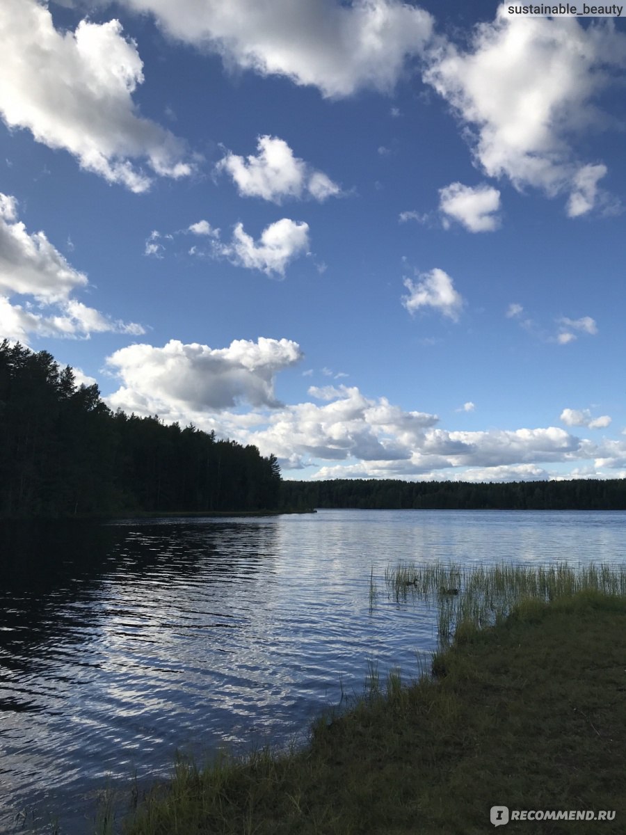 медное озеро ленинградская