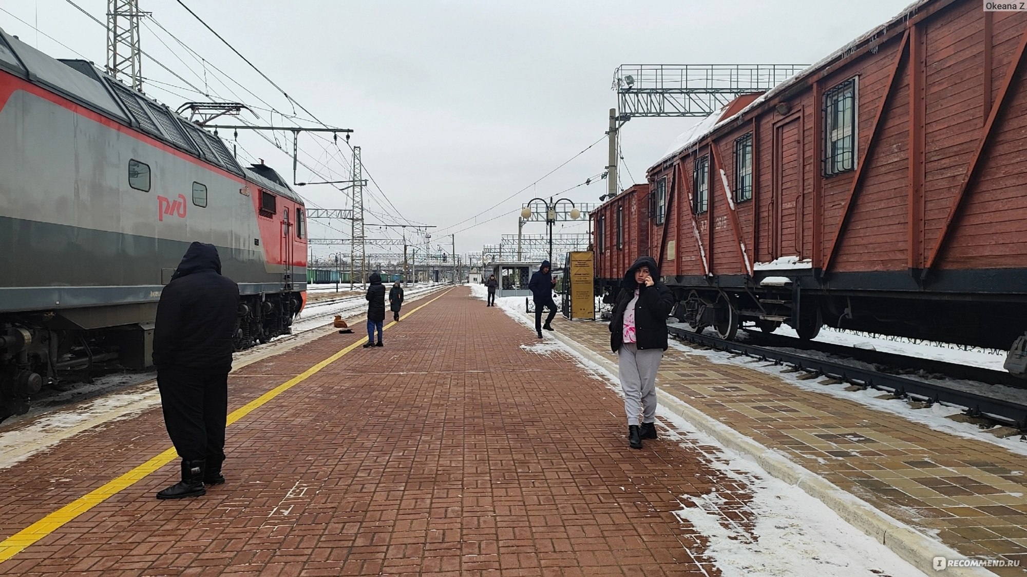 Таганрог-Санкт-Петербург 279А, 279С - «Не покупайте билет на поезд 279  Таганрог-Санкт-Петербург, пока не посмотрите этот отзыв» | отзывы