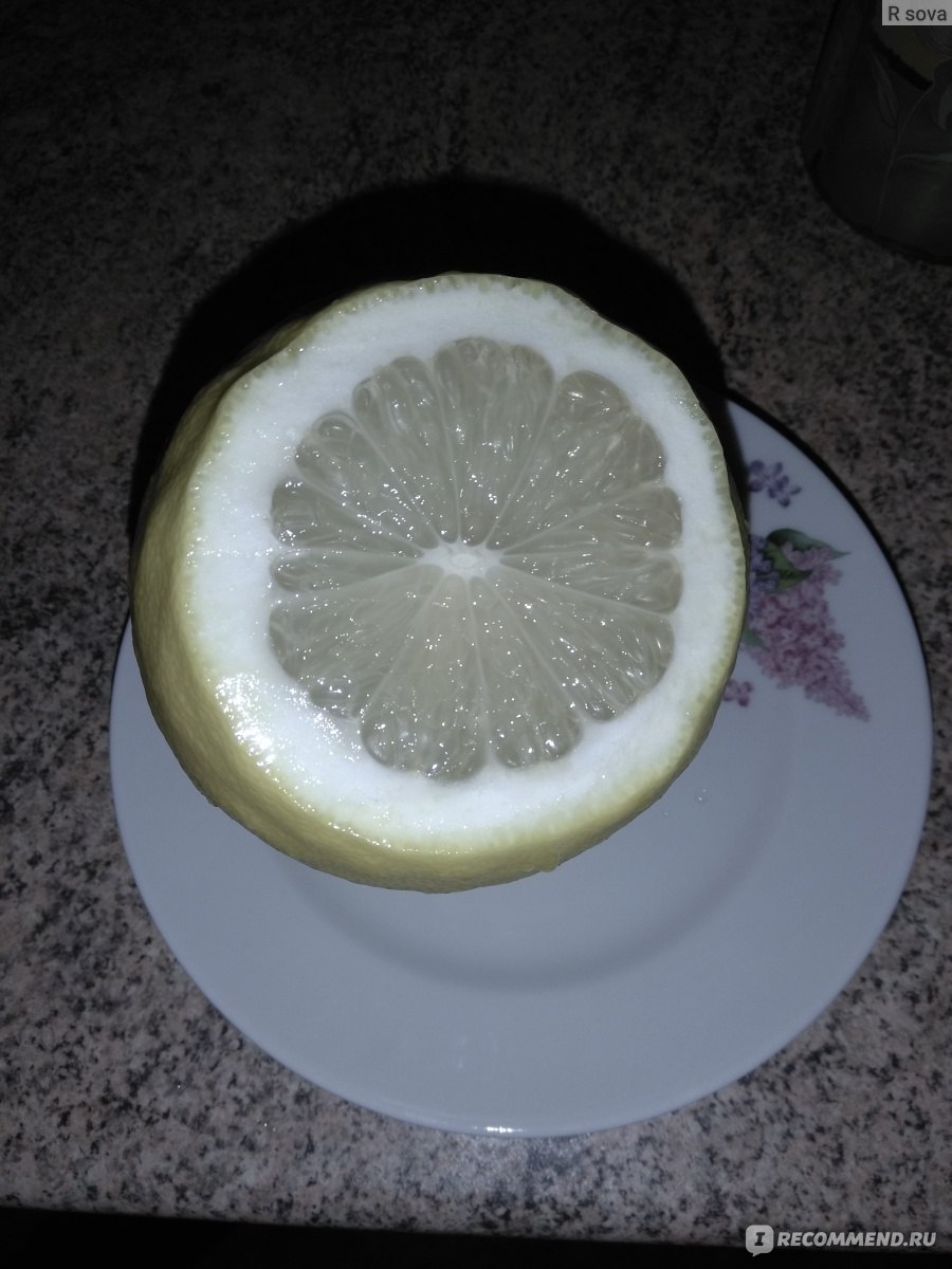 Лимон Пандероза - комнатное растение с доставкой купить в СПб - Цитрус Микс Экзотика 🍋