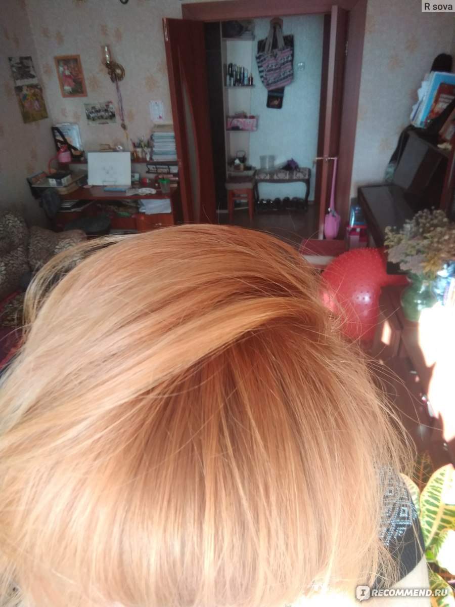 Garnier краска для волос olia оттенок 8 31 светло-русый кремовый