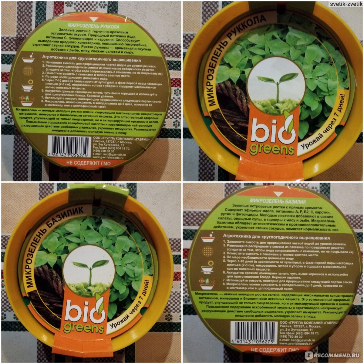 Проращиватель Гавриш Bio Greens - «Просто, быстро и вкусно выращиваем  микрозелень🌱» | отзывы