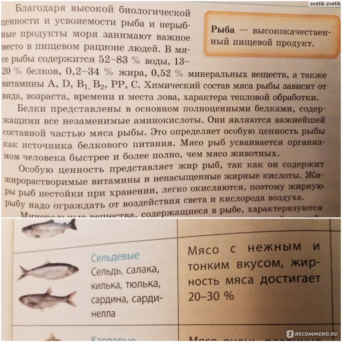 Пресервы Leor Сельдь атлантическая солёная филе-кусочки в масле -  «Селёдочка🐟, которую не нужно разделывать...» | отзывы