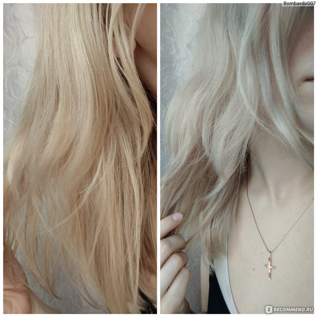 Арктический блонд фото до и после concept