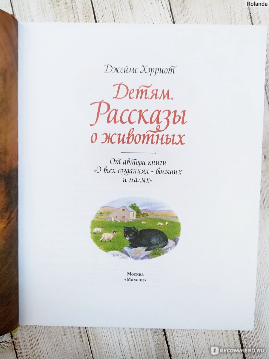 Детям. Рассказы о животных. Джеймс Хэрриот - «Необыкновенно красивая книга  с чудесными иллюстрациями. Над некоторыми сюжетными линиями я плакала» |  отзывы