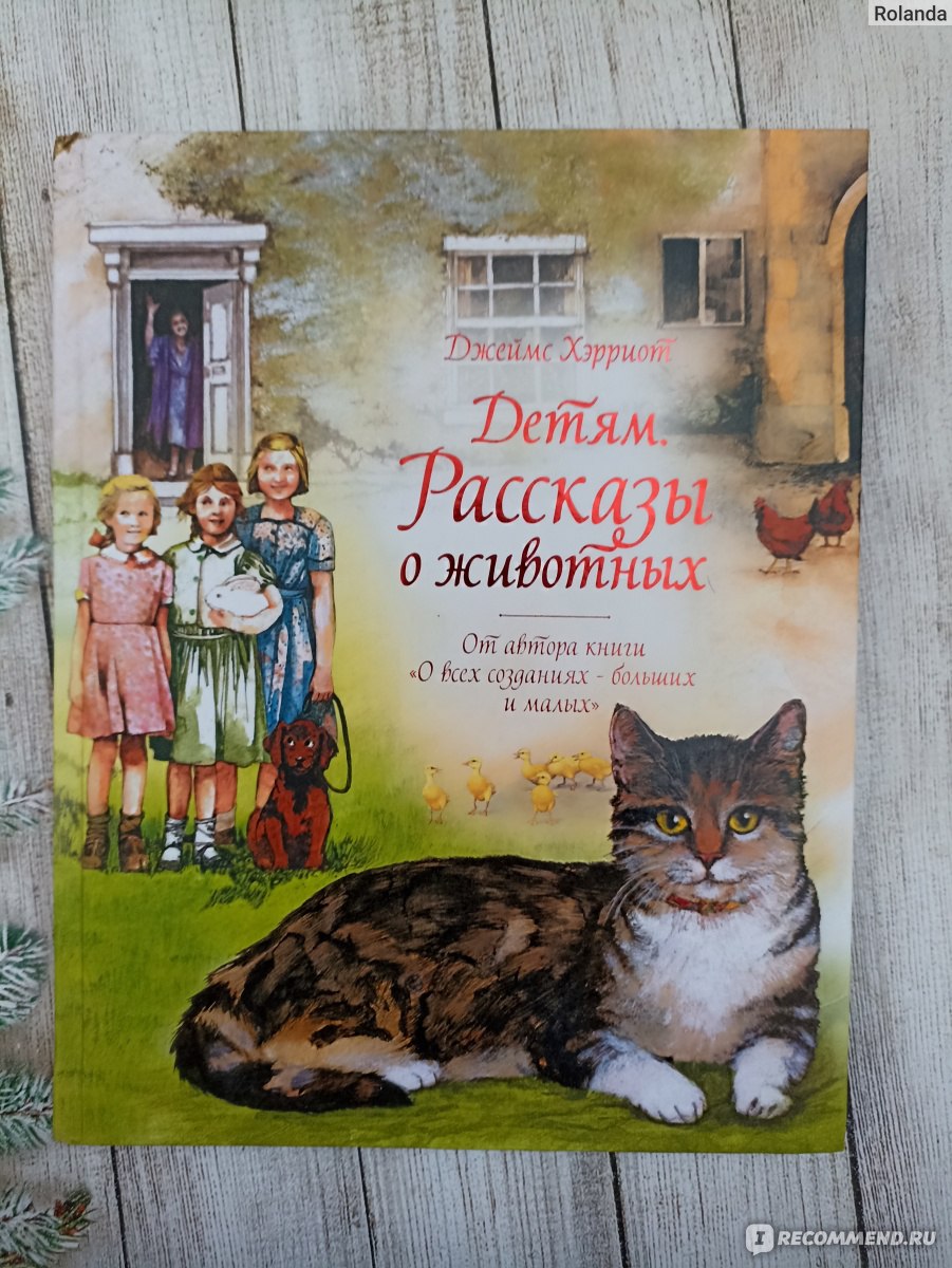 Детям. Рассказы о животных. Джеймс Хэрриот - «Необыкновенно красивая книга  с чудесными иллюстрациями. Над некоторыми сюжетными линиями я плакала» |  отзывы