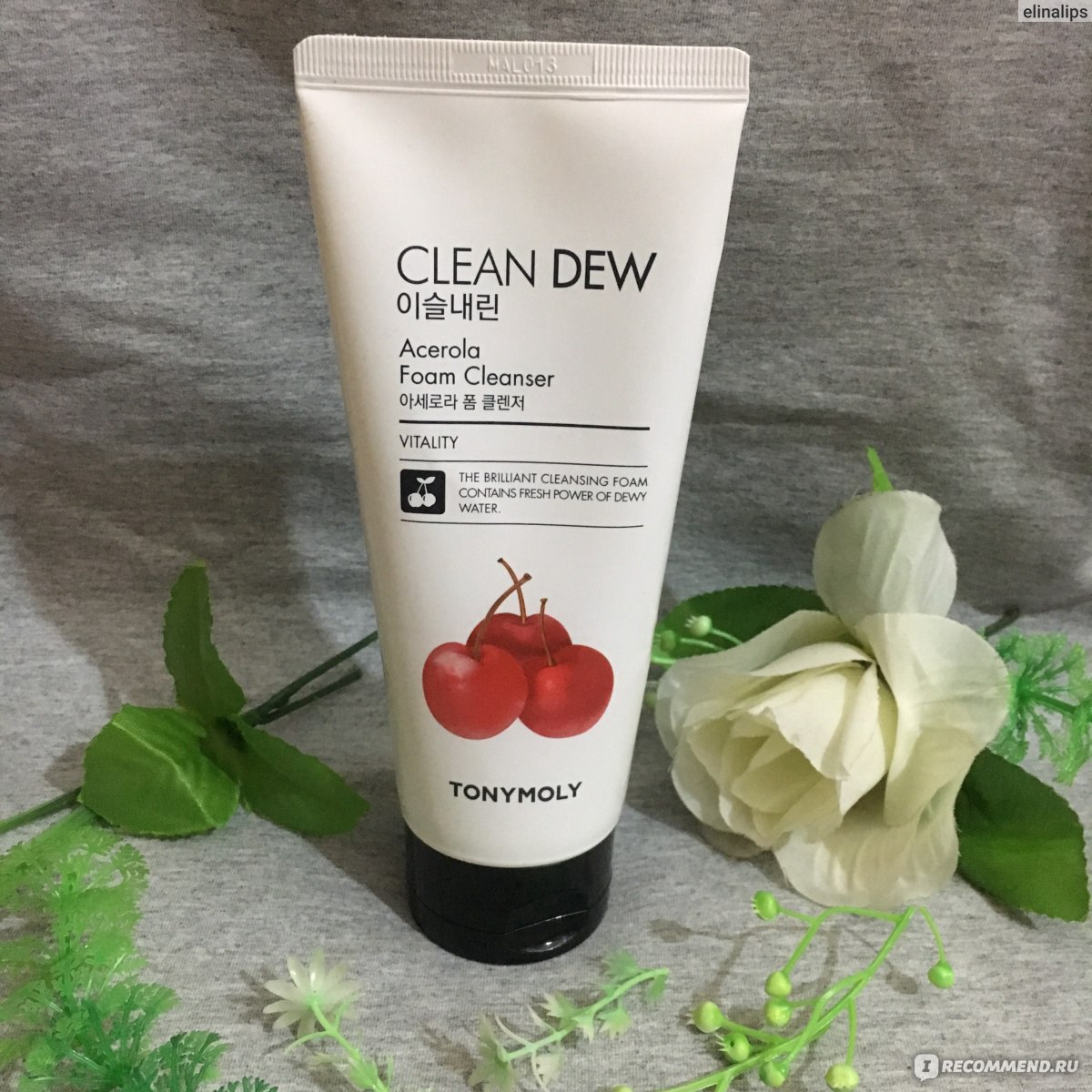 Foam cleanser. Tony Moly clean Dew Acerola Foam. Tony Moly clean Dew Acerola Foam Cleanser. Tony Moly clean Dew Acerola Foam Cleanser, 180 мл. Пенка Tony Moly clean Dew.