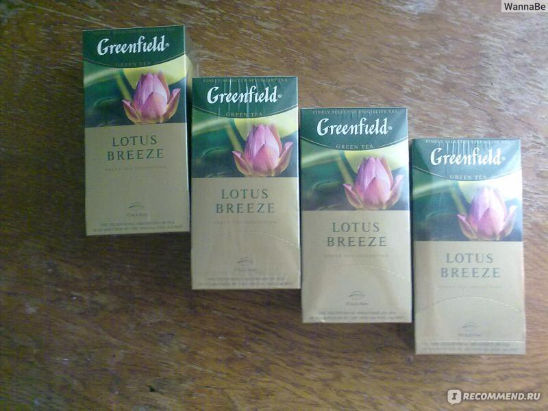 Greenfield lotus breeze куда пропал