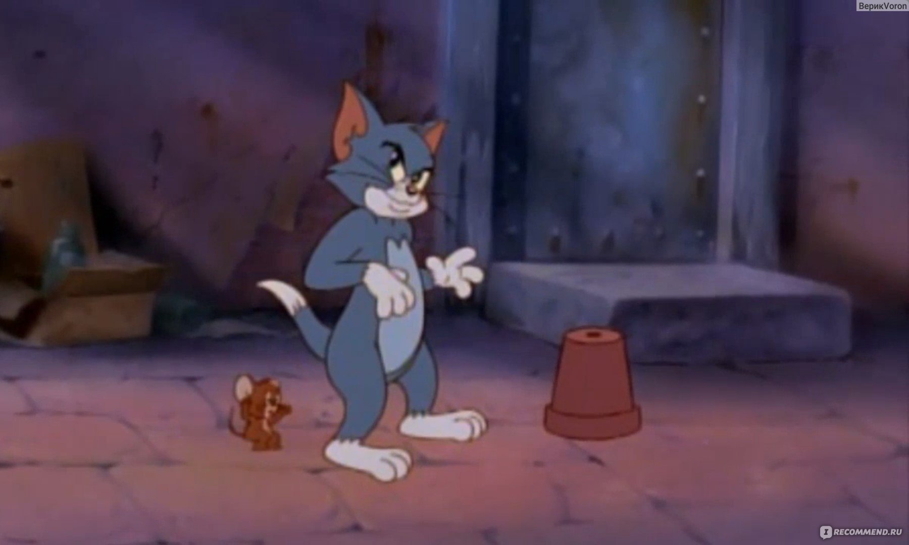 Том и Джерри: Фильм / Tom and Jerry: The Movie (1992) - «Большая  полнометражка, где любимые персонажи всё те же мультики, как и другие  вокруг них, но почему-то называется фильм.» | отзывы