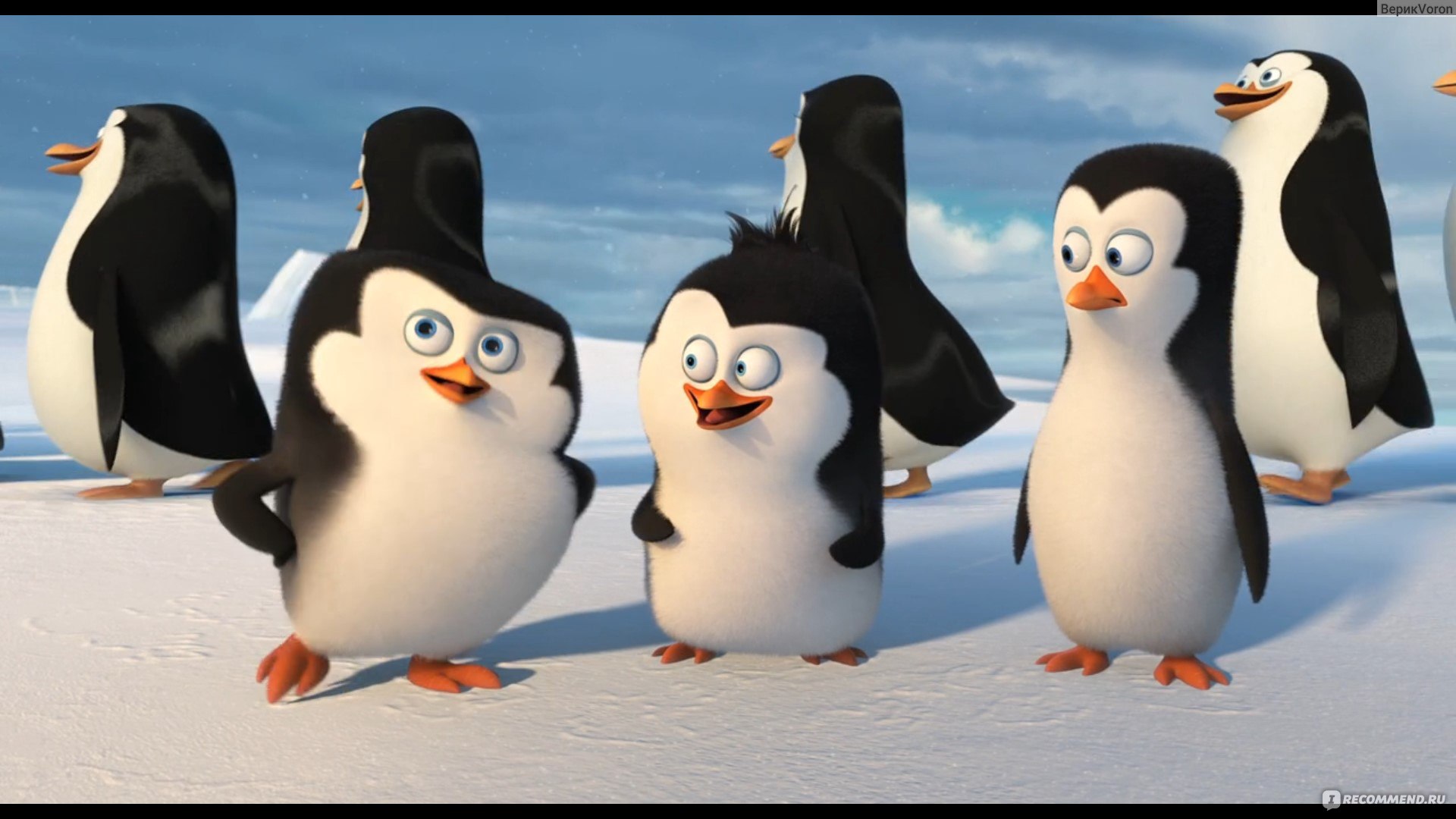 Пингвины Мадагаскара (Penguins of Madagascar) - «Для детей вполне сойдет,  но забывается тоже хорошо весь сюжет» | отзывы