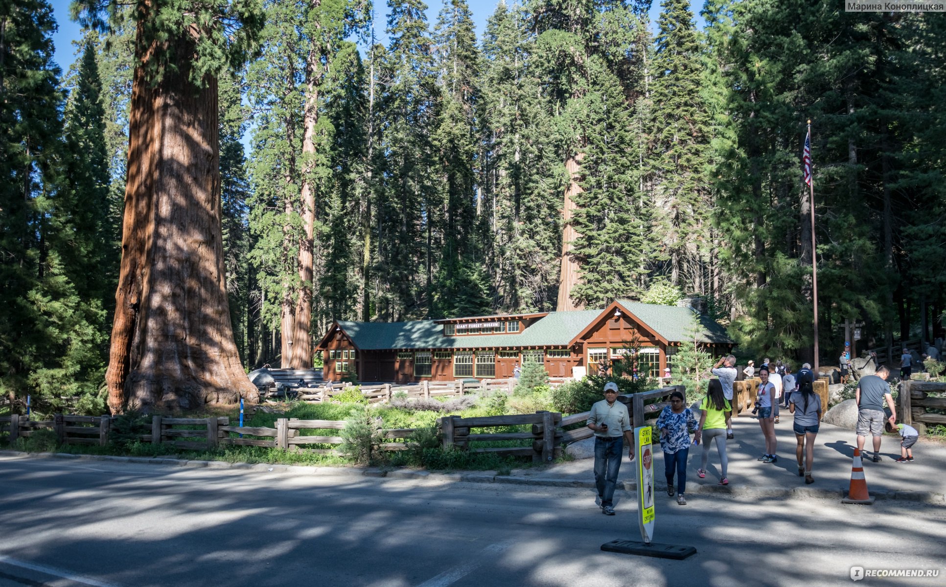 Секвойя парк екатеринбург уктус. Sequoia Park Екатеринбург трассы. Секвойя парк фото Екатеринбург. Секвойя парк Екатеринбург цены.