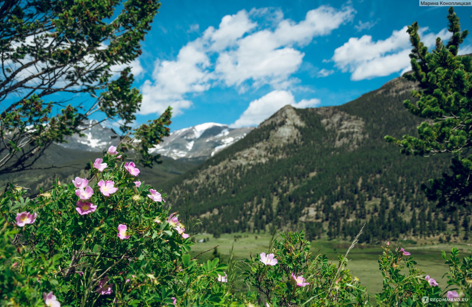 Национальный Парк Скалистые горы, Колорадо, США / Rocky Mountain National  Park, Colorado, USA - «Место, где земля встречается с небесами. Красивые  пейзажи, дикие животные и приятные жители штата Колорадо + ФОТО» | отзывы