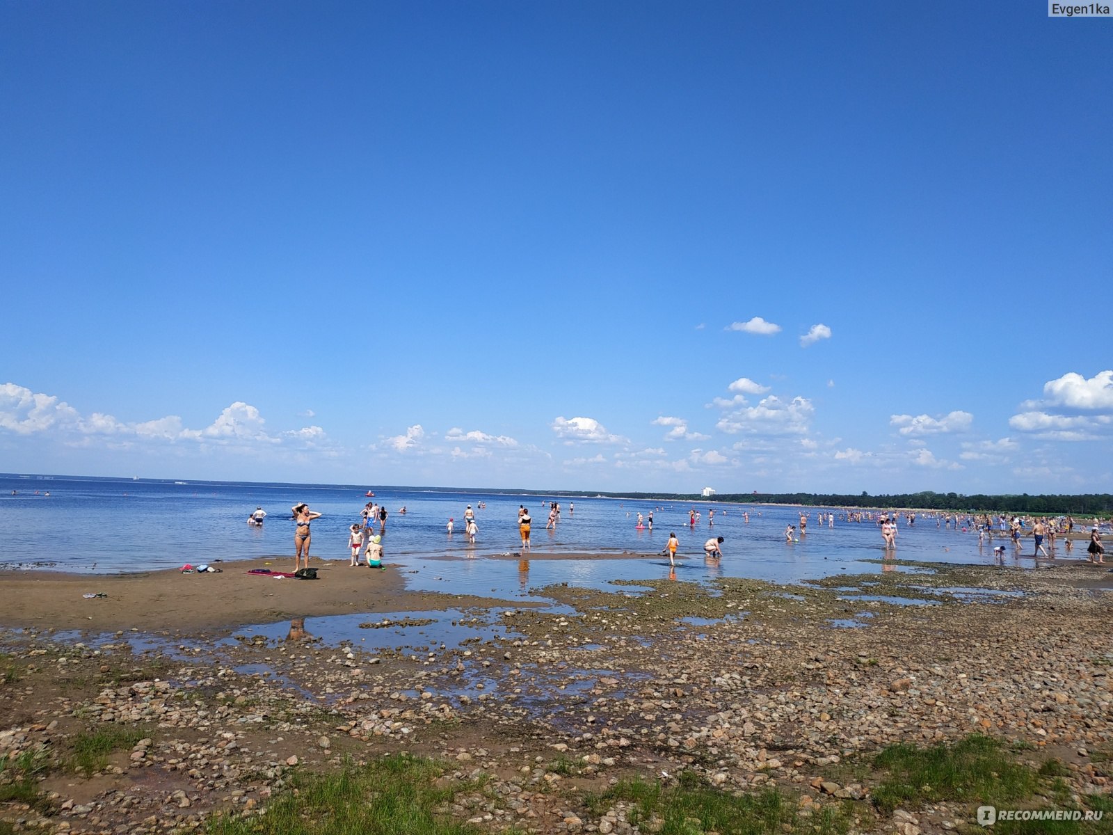 сестрорецк пляж дубковский