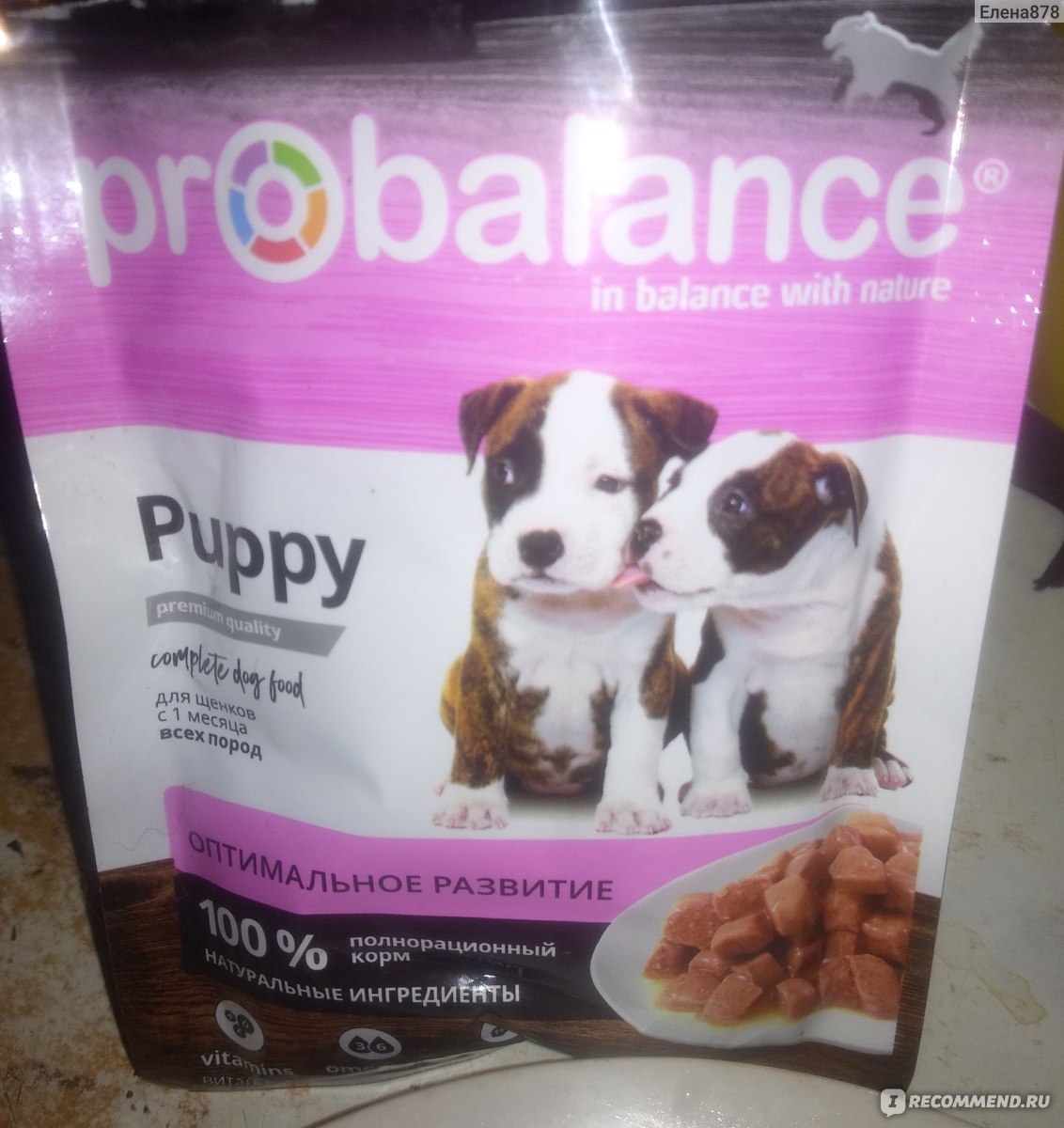 Корм для собак Probalance Пауч ProBalance Puppy Immuno Protection для  щенков - «Бюджетный корм! Средний состав! Разбираем, смотрим что внутри. »  | отзывы