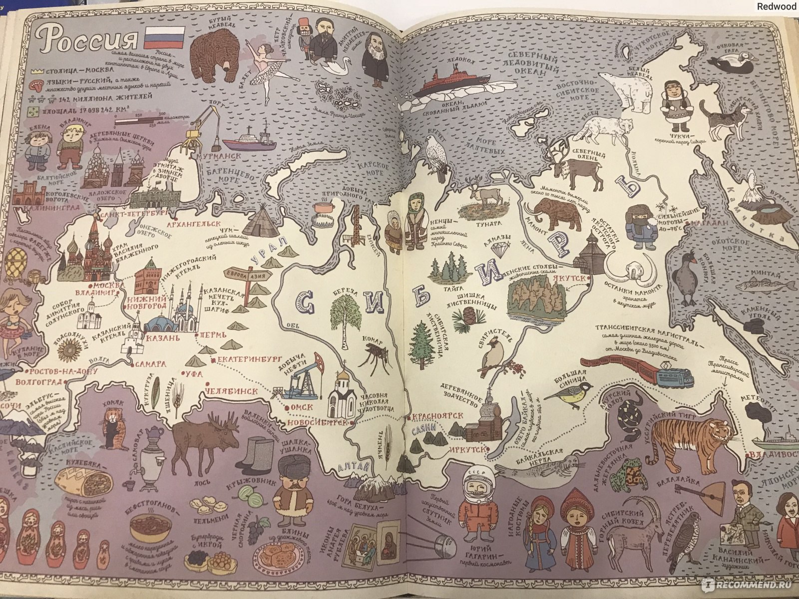 Book map. Александра и Даниэль Мизелиньские карты. Карты. Мизелиньские. Карта книга. Карты. Путешествие в картинках по континентам, морям и культурам мира.